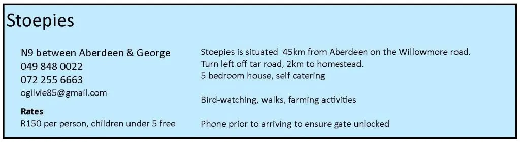 apweb-stoepies